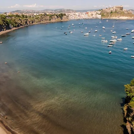 Aurelia Procida