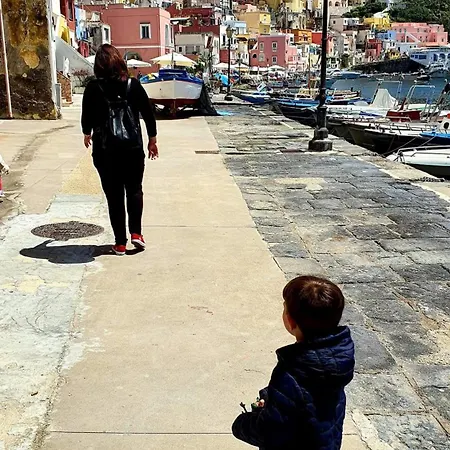 Aurelia Procida